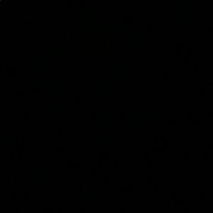 Meet your Posher, Eli